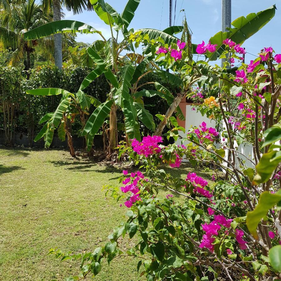 Villa Iguanina120M2-Wifi-300M Plage-4 Pers Le Gosier  Dış mekan fotoğraf