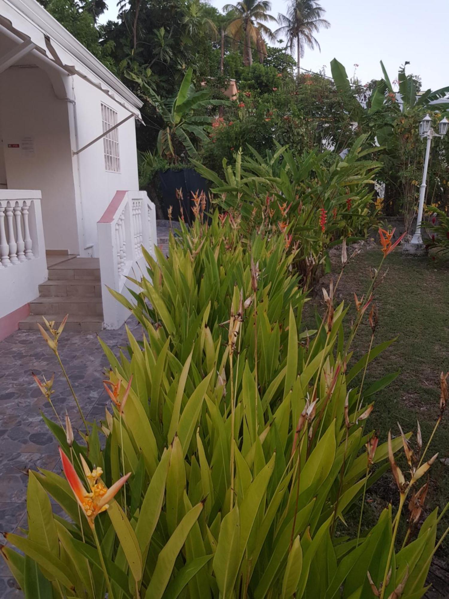 Villa Iguanina120M2-Wifi-300M Plage-4 Pers Le Gosier  Dış mekan fotoğraf
